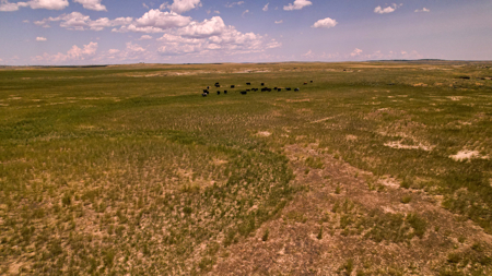 Horizon Flats – 157.224 Acres Near Billings, Montana - image 21