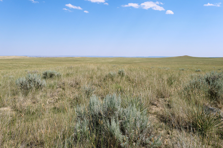 Horizon Flats – 157.224 Acres Near Billings, Montana - image 6