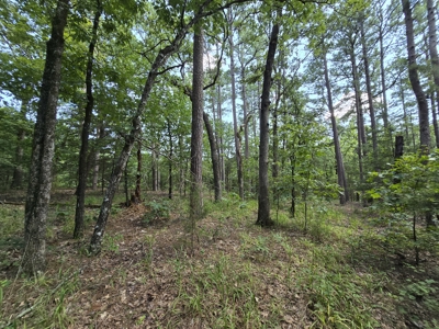 Cedar Lake Cabin – Adjoining Ouachita National Forest - image 10