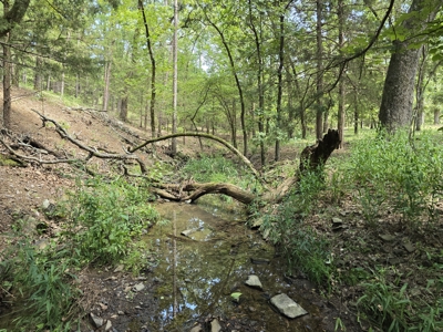Cedar Lake Cabin – Adjoining Ouachita National Forest - image 11