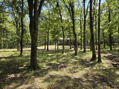Cedar Lake Cabin – Adjoining Ouachita National Forest - image 12