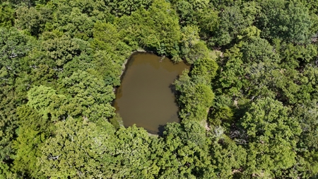 Hunting and Recreational Property near Wilburton, OK - image 12
