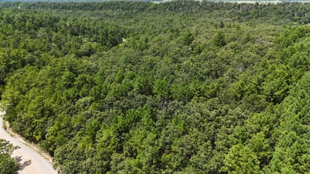 Hunting and Recreational Property near Wilburton, OK - image 8