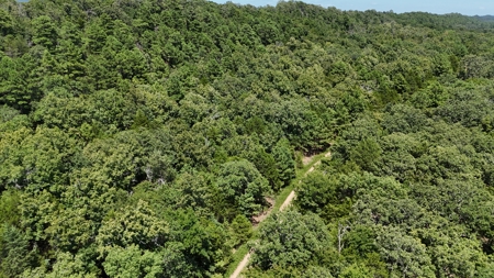 Hunting and Recreational Property near Wilburton, OK - image 4