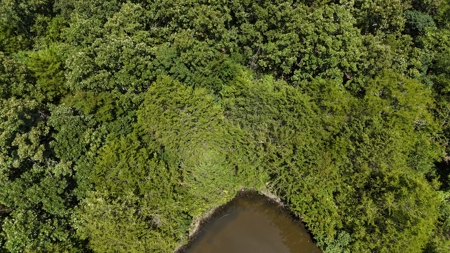 Hunting and Recreational Property near Wilburton, OK - image 13