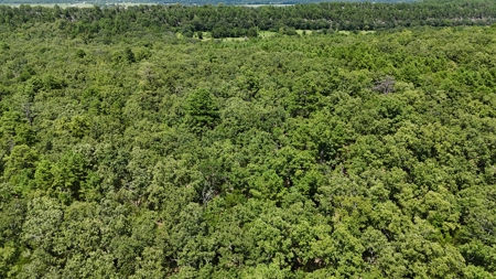 Hunting and Recreational Property near Wilburton, OK - image 10