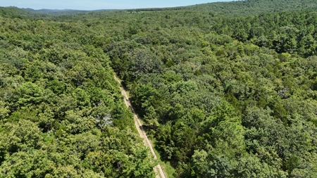Hunting and Recreational Property near Wilburton, OK - image 5