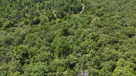 Hunting and Recreational Property near Wilburton, OK - image 7