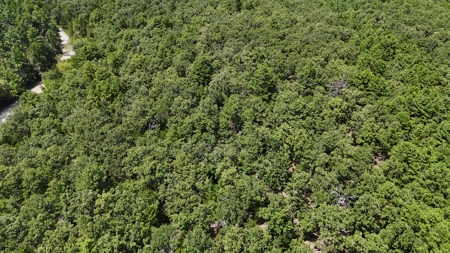 Hunting and Recreational Property near Wilburton, OK - image 9