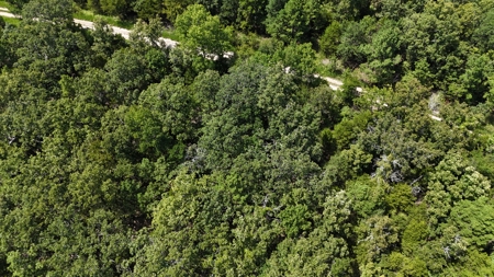 Hunting and Recreational Property near Wilburton, OK - image 14