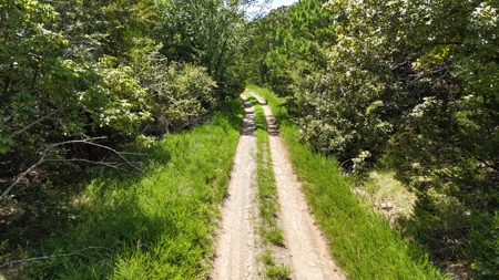 Hunting and Recreational Property near Wilburton, OK - image 15