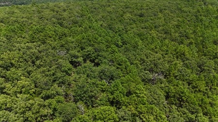 Hunting and Recreational Property near Wilburton, OK - image 6