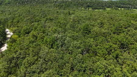 Hunting and Recreational Property near Wilburton, OK - image 11
