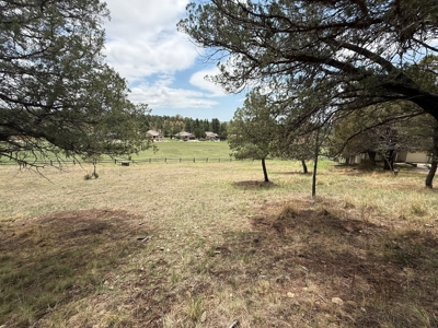 White Mountain Development Lot 21 for Sale in Ruidoso, NM - image 2