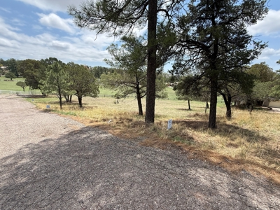 White Mountain Development Lot 21 for Sale in Ruidoso, NM - image 3