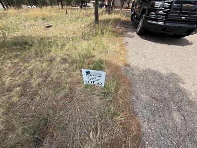 White Mountain Development Lot 22 for Sale in Ruidoso, NM - image 1