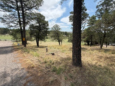 White Mountain Development Lot 22 for Sale in Ruidoso, NM - image 3
