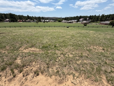 White Mountain Development Lot 23 for Sale in Ruidoso, NM - image 4