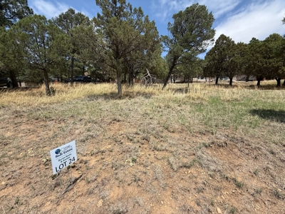 White Mountain Development Lot 24 for Sale in Ruidoso, NM - image 2