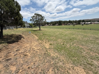 White Mountain Development Lot 24 for Sale in Ruidoso, NM - image 3