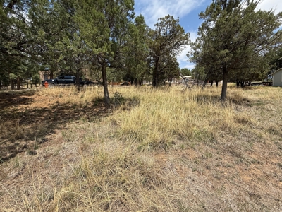 White Mountain Development Lot 25 for Sale in Ruidoso, NM - image 2