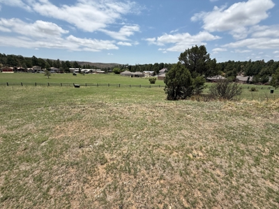 White Mountain Development Lot 25 for Sale in Ruidoso, NM - image 4