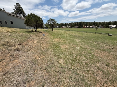 White Mountain Development Lot 25 for Sale in Ruidoso, NM - image 3