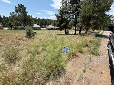 White Mountain Development Lot 28 for Sale in Ruidoso, NM - image 4