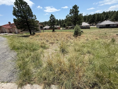 White Mountain Development Lot 28 for Sale in Ruidoso, NM - image 3