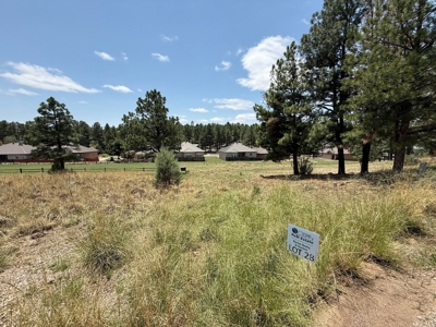 White Mountain Development Lot 28 for Sale in Ruidoso, NM - image 2