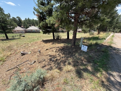 White Mountain Development Lot 29 for Sale in Ruidoso, NM - image 4