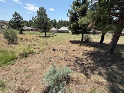 White Mountain Development Lot 29 for Sale in Ruidoso, NM - image 3