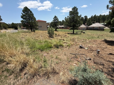 White Mountain Development Lot 29 for Sale in Ruidoso, NM - image 2