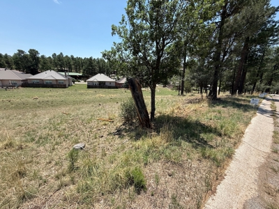 White Mountain Development Lot 30 for Sale in Ruidoso, NM - image 3
