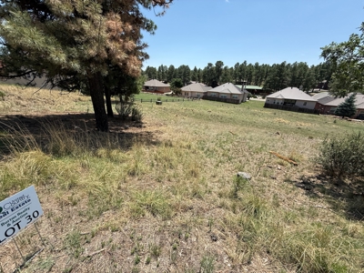 White Mountain Development Lot 30 for Sale in Ruidoso, NM - image 4