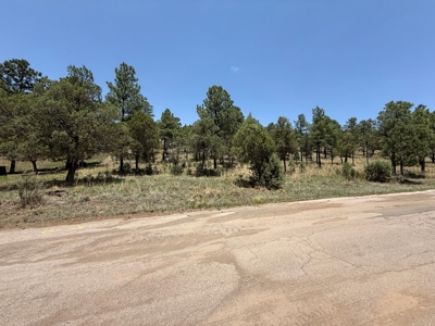 White Mountain Development Lot 30 for Sale in Ruidoso, NM - image 2