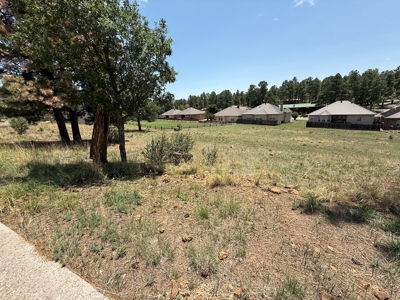 White Mountain Development Lot 31 for Sale in Ruidoso, NM - image 3