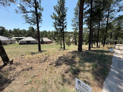 White Mountain Development Lot 32 for Sale in Ruidoso, NM - image 2