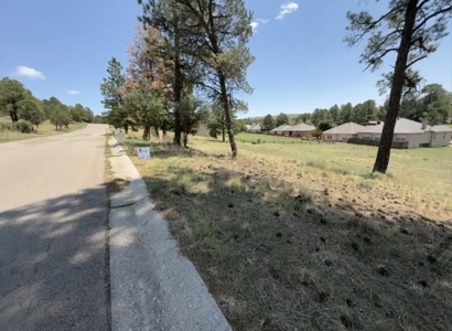 White Mountain Development Lot 33 for Sale in Ruidoso, NM - image 4