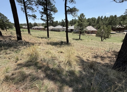 White Mountain Development Lot 34 for Sale in Ruidoso, NM - image 4