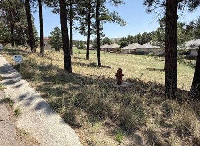 White Mountain Development Lot 35 for Sale in Ruidoso, NM - image 2