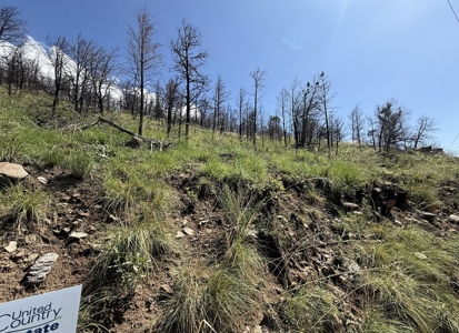 Gavilan Subdivision Lot 37 for Sale in Ruidoso, NM - image 3