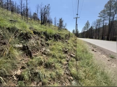 Gavilan Subdivision Lot 37 for Sale in Ruidoso, NM - image 4