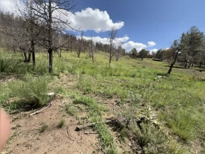 Gavilan Subdivision Lot 38 for Sale in Ruidoso, NM - image 4