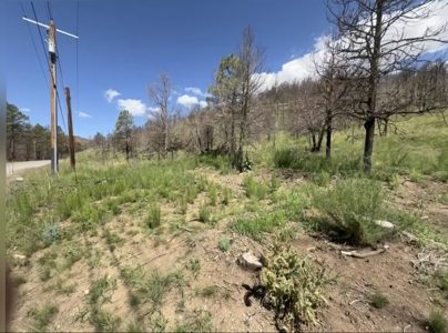 Gavilan Subdivision Lot 38 for Sale in Ruidoso, NM - image 3