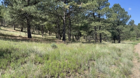Gavilan Subdivision Lot 39 for Sale in Ruidoso, NM - image 5