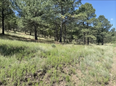 Gavilan Subdivision Lot 39 for Sale in Ruidoso, NM - image 4