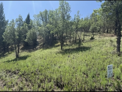 Gavilan Subdivision Lot 39 for Sale in Ruidoso, NM - image 2
