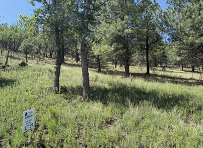 Gavilan Subdivision Lot 39 for Sale in Ruidoso, NM - image 3