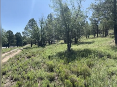 Gavilan Subdivision Lot 40 for Sale in Ruidoso, NM - image 2